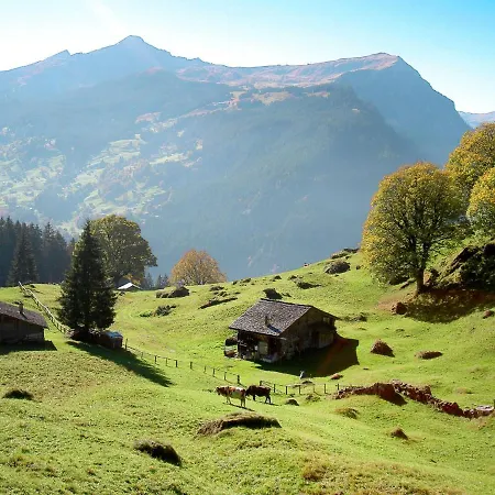 Chiebrendli By Interhome Apartamento Grindelwald