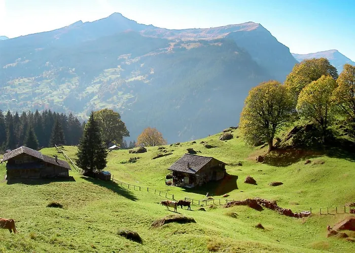 Chiebrendli By Interhome Appartamento Grindelwald