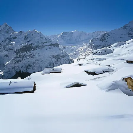 Chiebrendli By Interhome Appartamento Grindelwald