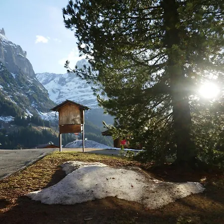 Chiebrendli By Interhome Apartment Grindelwald